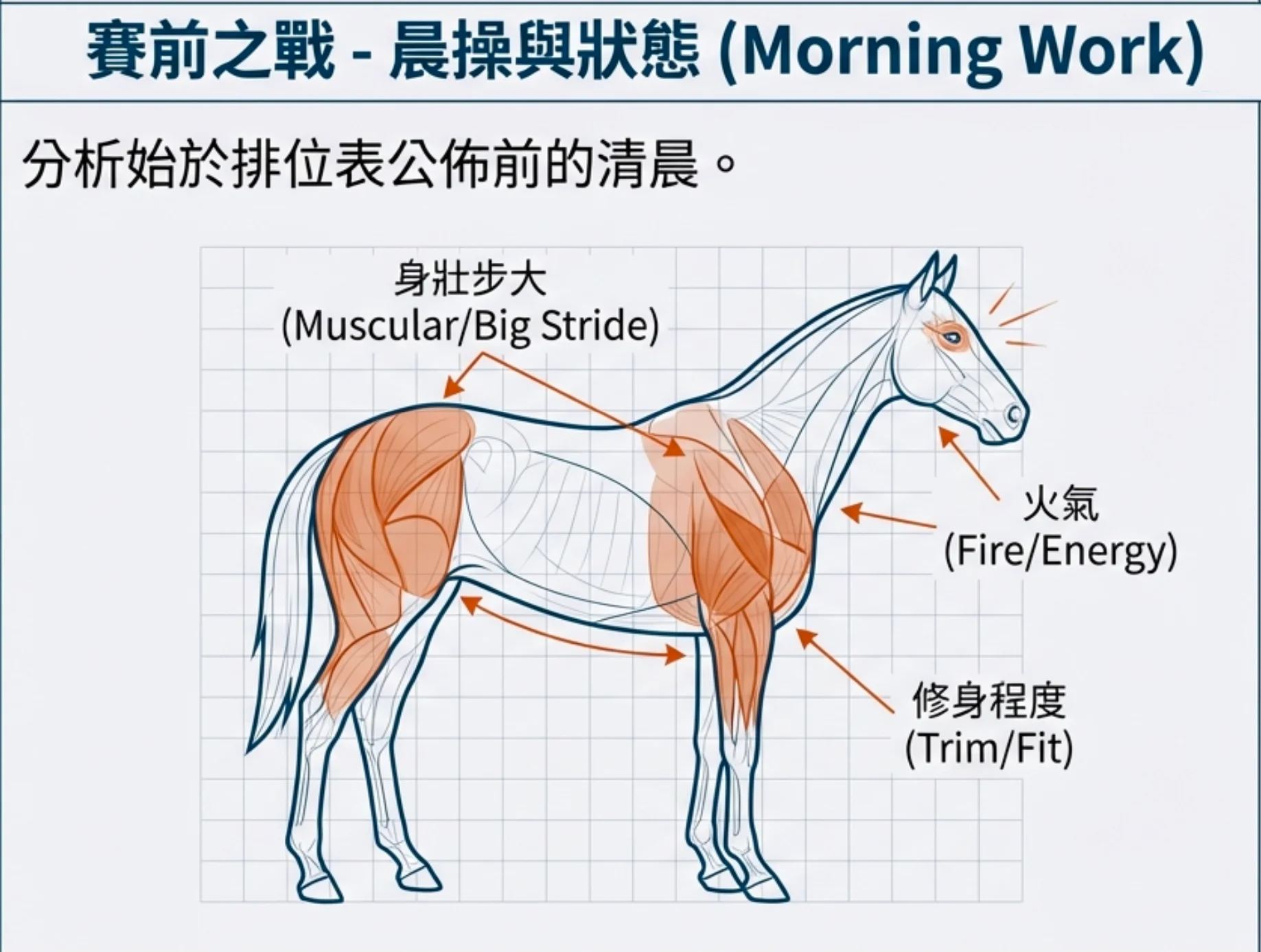 賽馬晨操與狀態