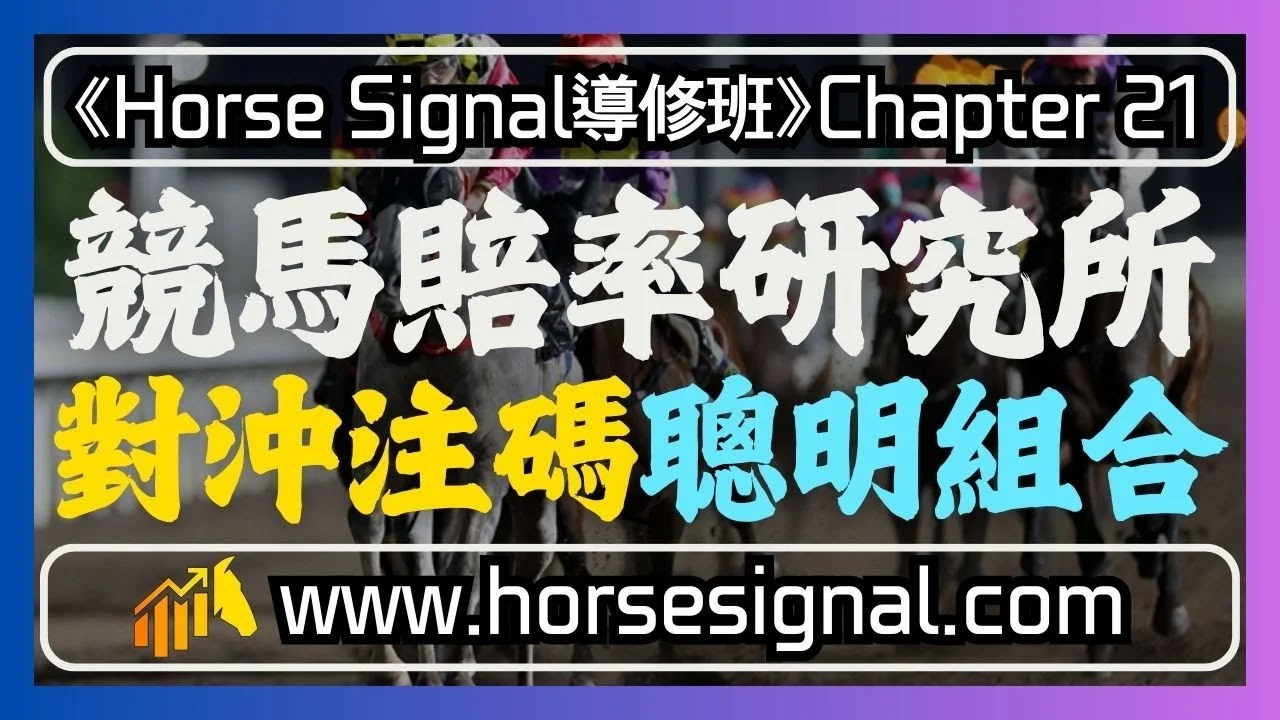 對沖注碼聰明組合-一齊解構大細注嘅原理-擁有如職業投注者一樣嘅智慧